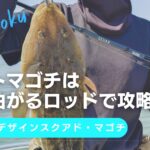 【伊勢湾奥】レジットデザインスクアド・マゴチ／ボートマゴチはよく曲がるロッドで攻略！